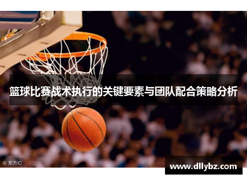 篮球比赛战术执行的关键要素与团队配合策略分析