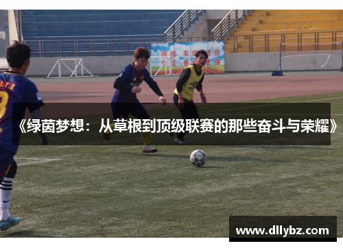 《绿茵梦想：从草根到顶级联赛的那些奋斗与荣耀》