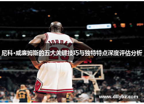 尼科·威廉姆斯的五大关键技巧与独特特点深度评估分析