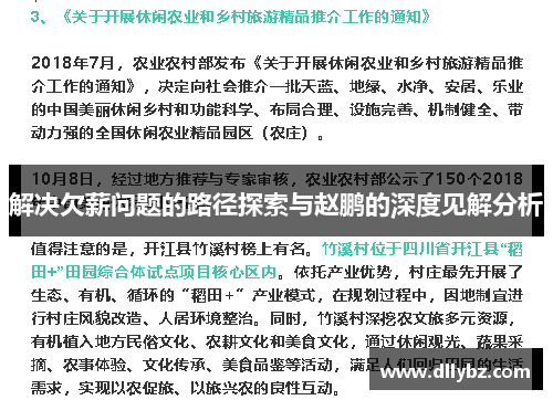 解决欠薪问题的路径探索与赵鹏的深度见解分析
